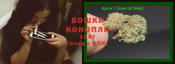 сатива Анива