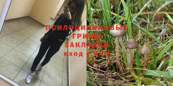 мяу мяу мука Аксай