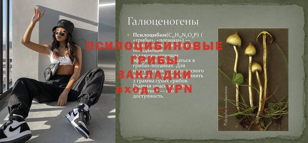 метадон Алагир