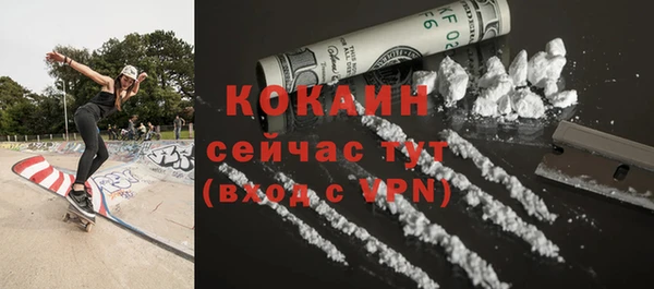 сатива Анива