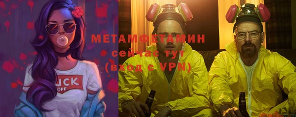 сатива Анива