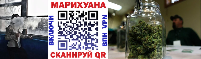 Бошки Шишки планчик  Злынка 